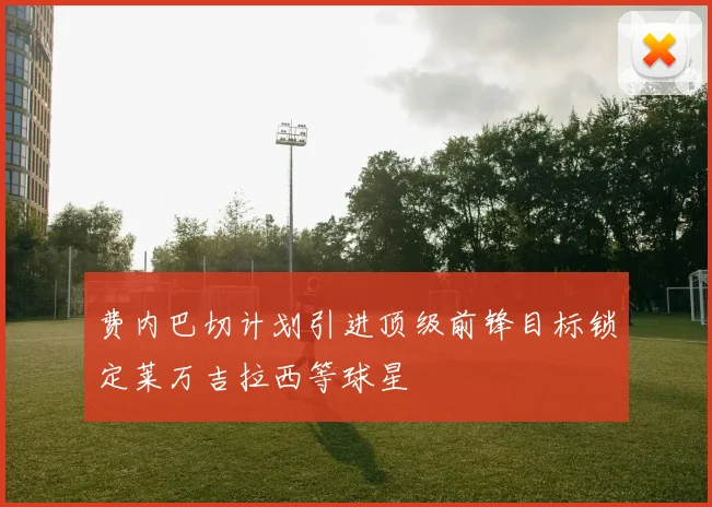 费内巴切计划引进顶级前锋目标锁定莱万吉拉西等球星